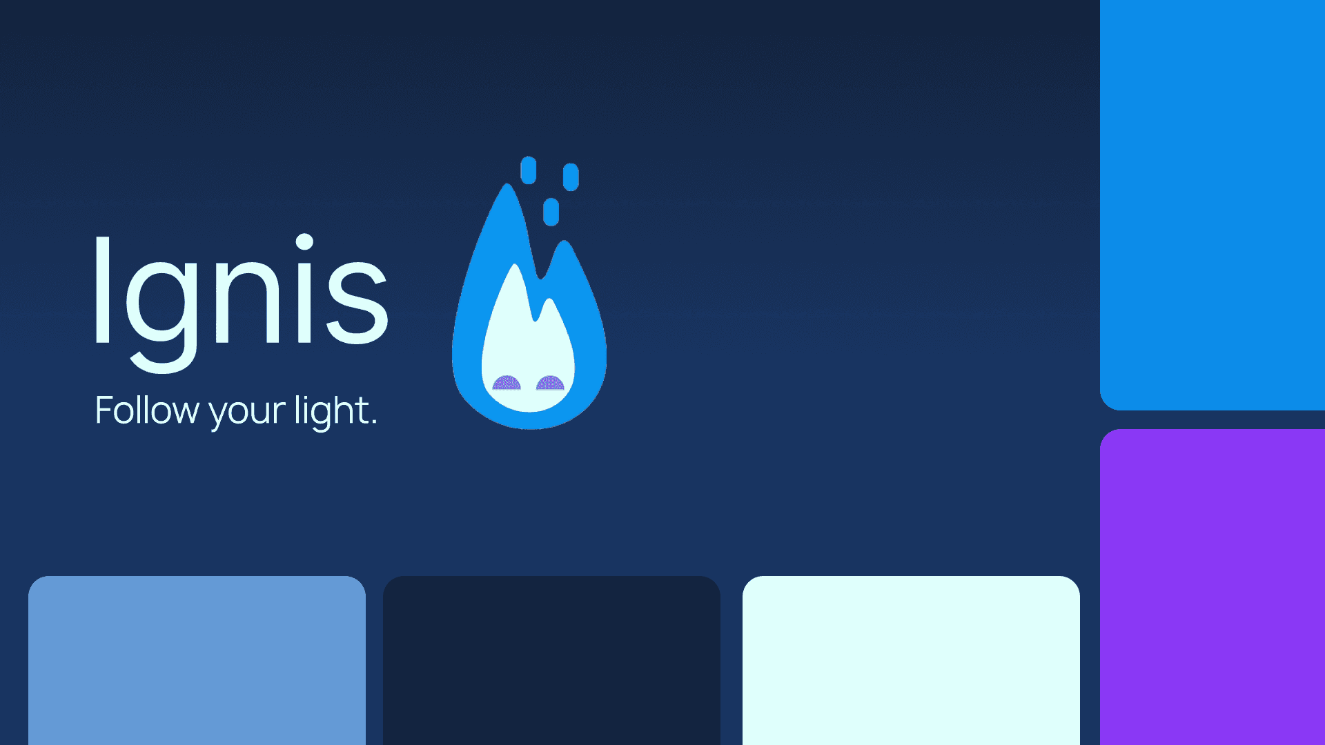 Ignis project preview