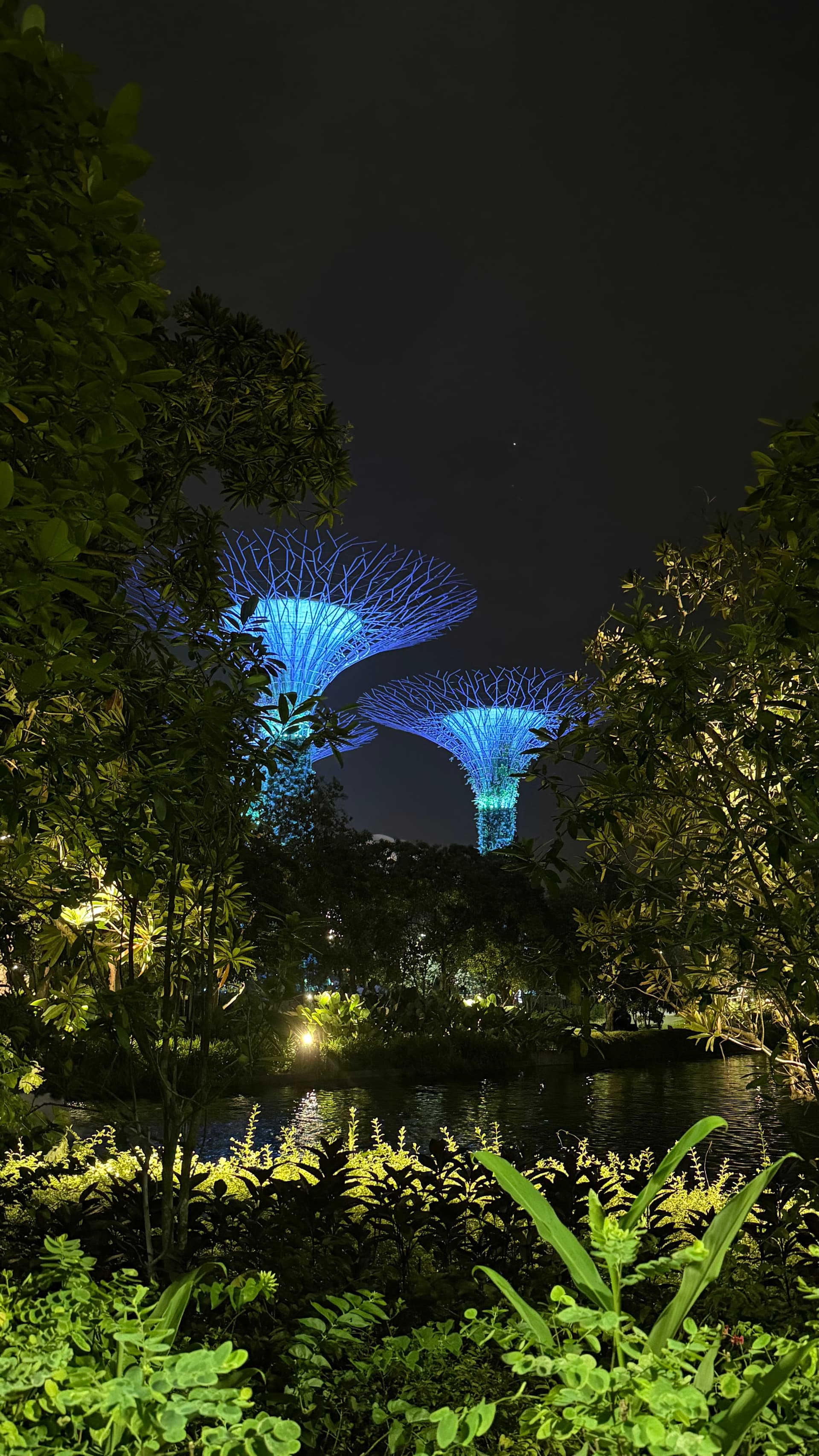 Gardens by the Bay